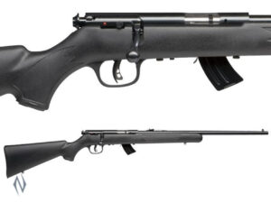SAVAGE MKII 22LR F BLUED SYNTHETIC 10 SHOT 